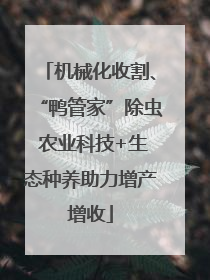 机械化收割、“鸭管家”除虫 农业科技+生态种养助力增产增收