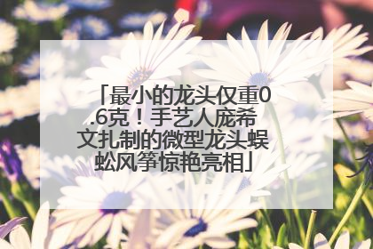最小的龙头仅重0.6克！手艺人庞希文扎制的微型龙头蜈蚣风筝惊艳亮相