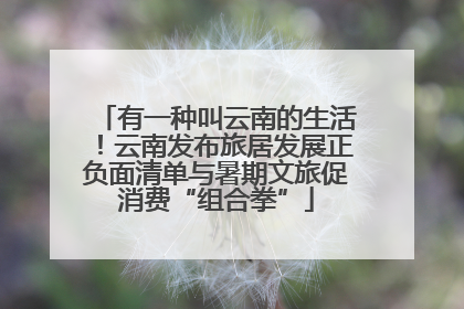 有一种叫云南的生活！云南发布旅居发展正负面清单与暑期文旅促消费“组合拳”