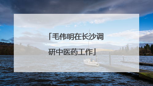 毛伟明在长沙调研中医药工作