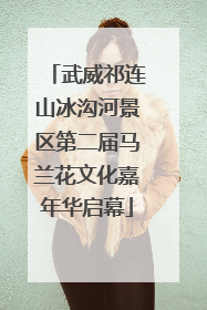 武威祁连山冰沟河景区第二届马兰花文化嘉年华启幕
