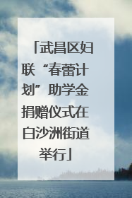 武昌区妇联“春蕾计划”助学金捐赠仪式在白沙洲街道举行