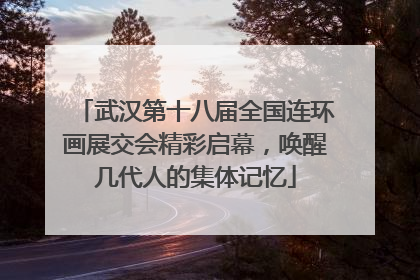 武汉第十八届全国连环画展交会精彩启幕，唤醒几代人的集体记忆