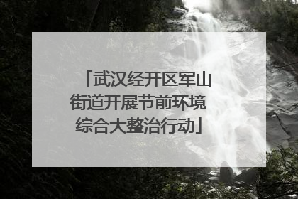 武汉经开区军山街道开展节前环境综合大整治行动