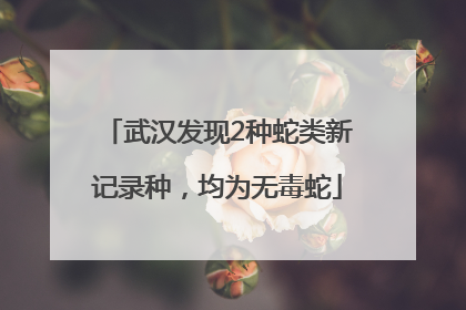 武汉发现2种蛇类新记录种，均为无毒蛇