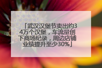 武汉汉堡节卖出约34万个汉堡，车流量创下商场纪录，周边店铺业绩提升至少30%