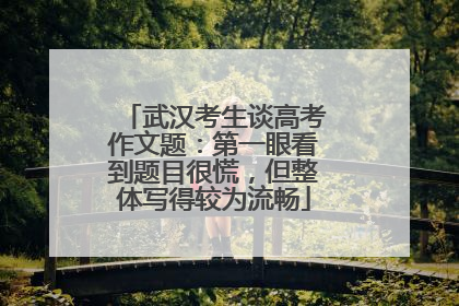 武汉考生谈高考作文题：第一眼看到题目很慌，但整体写得较为流畅