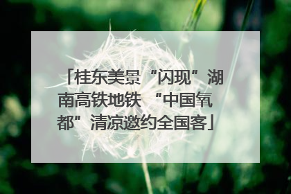桂东美景“闪现”湖南高铁地铁 “中国氧都”清凉邀约全国客