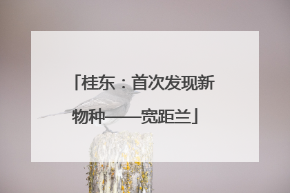 桂东：首次发现新物种——宽距兰