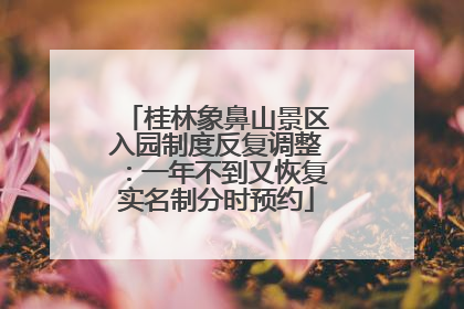 桂林象鼻山景区入园制度反复调整：一年不到又恢复实名制分时预约