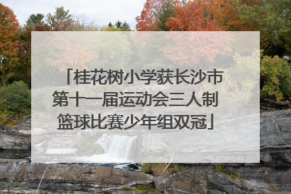 桂花树小学获长沙市第十一届运动会三人制篮球比赛少年组双冠