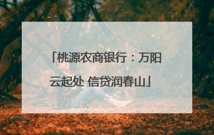 桃源农商银行：万阳云起处 信贷润春山