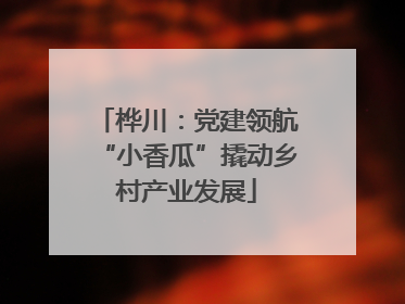 桦川：党建领航“小香瓜”撬动乡村产业发展