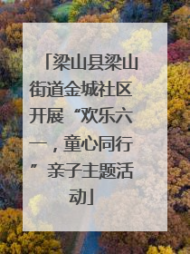 梁山县梁山街道金城社区开展“欢乐六一，童心同行”亲子主题活动