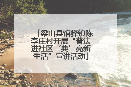 梁山县馆驿镇陈李庄村开展“普法进社区‘典’亮新生活”宣讲活动