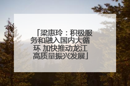 梁惠玲：积极服务和融入国内大循环 加快推动龙江高质量振兴发展
