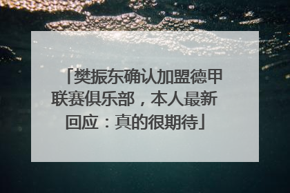 樊振东确认加盟德甲联赛俱乐部，本人最新回应：真的很期待