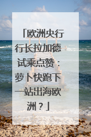 欧洲央行行长拉加德试乘点赞：萝卜快跑下一站出海欧洲？