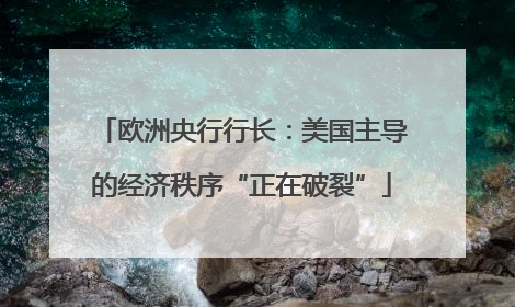 欧洲央行行长：美国主导的经济秩序“正在破裂”