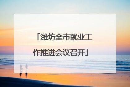 潍坊全市就业工作推进会议召开