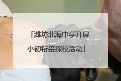 潍坊北海中学开展小初衔接探校活动