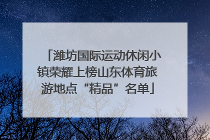 潍坊国际运动休闲小镇荣耀上榜山东体育旅游地点“精品”名单