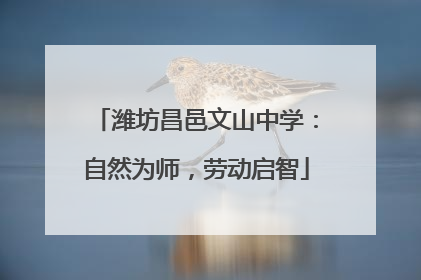 潍坊昌邑文山中学：自然为师，劳动启智