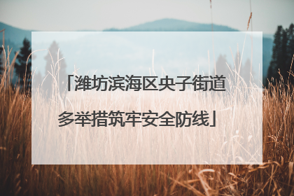 潍坊滨海区央子街道多举措筑牢安全防线