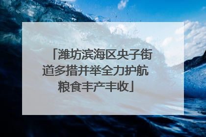 潍坊滨海区央子街道多措并举全力护航粮食丰产丰收