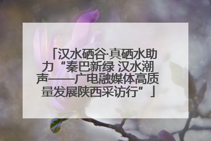 汉水硒谷·真硒水助力“秦巴新绿 汉水潮声——广电融媒体高质量发展陕西采访行”