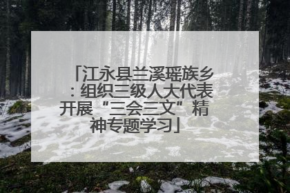 江永县兰溪瑶族乡：组织三级人大代表开展“三会三文”精神专题学习