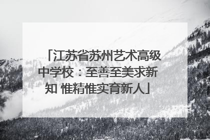 江苏省苏州艺术高级中学校：至善至美求新知 惟精惟实育新人