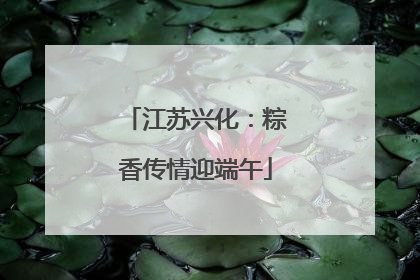 江苏兴化：粽香传情迎端午