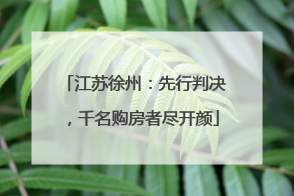 江苏徐州：先行判决，千名购房者尽开颜