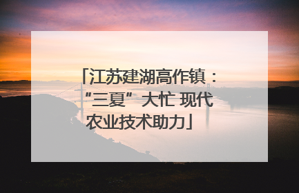 江苏建湖高作镇：“三夏”大忙 现代农业技术助力