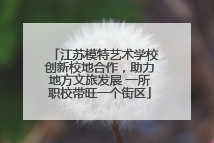 江苏模特艺术学校创新校地合作，助力地方文旅发展 一所职校带旺一个街区