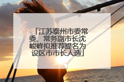 江苏泰州市委常委、常务副市长沈峻峰拟推荐提名为设区市市长人选