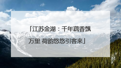 江苏金湖：千年藕香飘万里 荷韵悠悠引客来