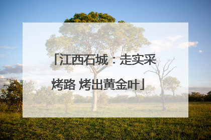 江西石城：走实采烤路 烤出黄金叶