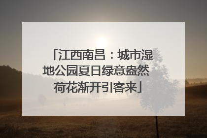 江西南昌：城市湿地公园夏日绿意盎然 荷花渐开引客来