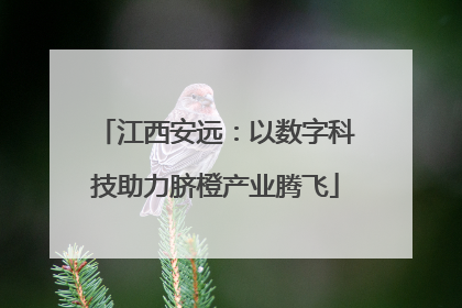 江西安远：以数字科技助力脐橙产业腾飞