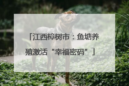 江西樟树市：鱼塘养殖激活“幸福密码”
