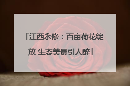江西永修：百亩荷花绽放 生态美景引人醉