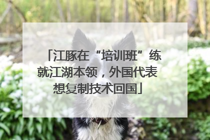 江豚在“培训班”练就江湖本领，外国代表想复制技术回国
