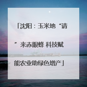 沈阳：玉米地“请”来赤眼蜂 科技赋能农业助绿色增产