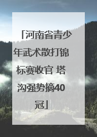 河南省青少年武术散打锦标赛收官 塔沟强势摘40冠