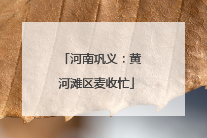 河南巩义：黄河滩区麦收忙