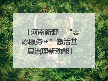 河南新野：“志愿服务＋”激活基层治理新动能