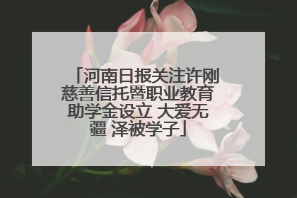 河南日报关注许刚慈善信托暨职业教育助学金设立 大爱无疆 泽被学子