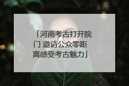 河南考古打开院门 邀请公众零距离感受考古魅力